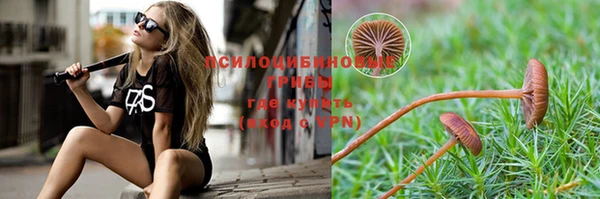 меф Арсеньев