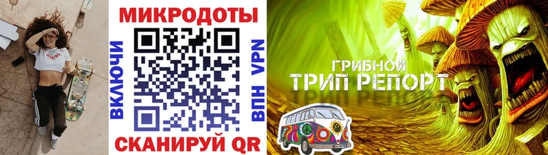 Псилоцибиновые грибы Magic Shrooms  блэк спрут рабочий сайт  Стародуб 